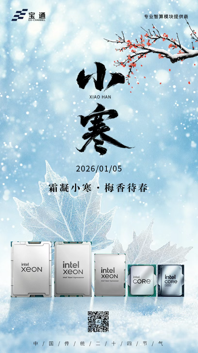 小寒 | 冰堅梅綻，天地待春歸